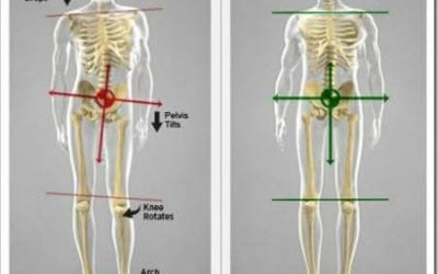 Why the Pelvis Matters More Than Most People Realise