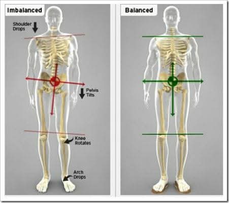 Why the Pelvis Matters More Than Most People Realise